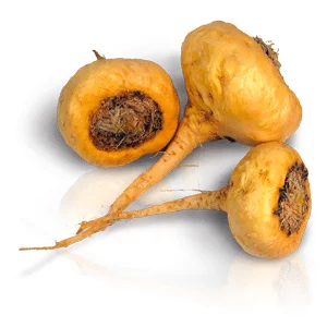 maca
