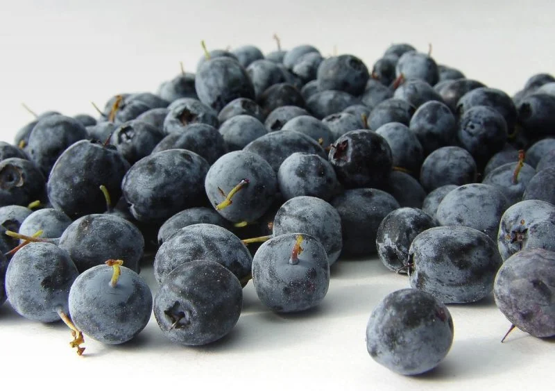 acai berry como energético