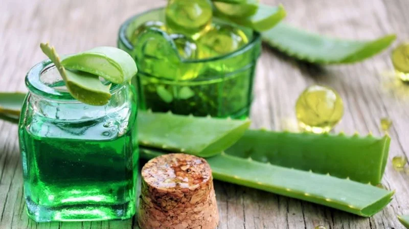 aloe vera es un excelente complemento en el tratamiento en contra de la arteriosclerosis