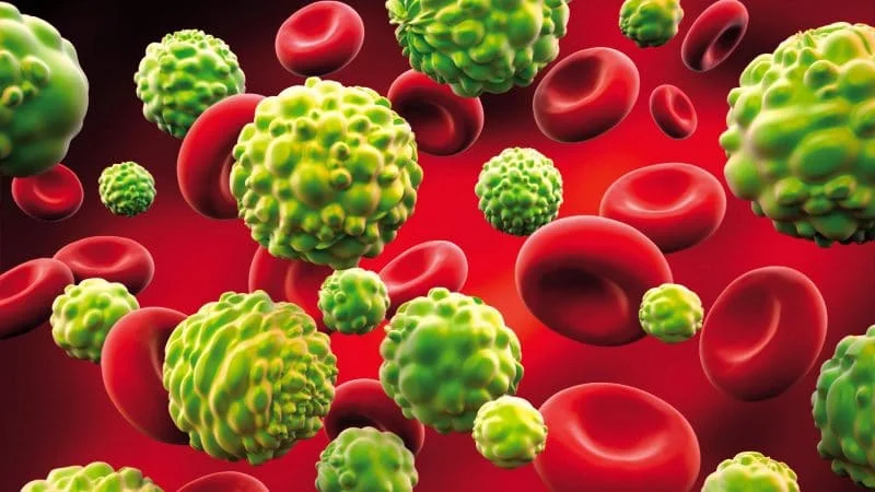 Las bayas de acai son alimentos que ayudan a prevenir el cáncer