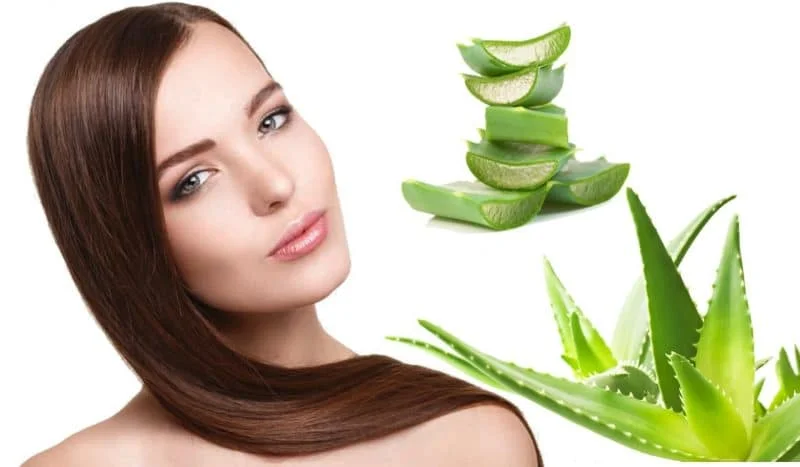 beneficios del aloe vera para el cabello