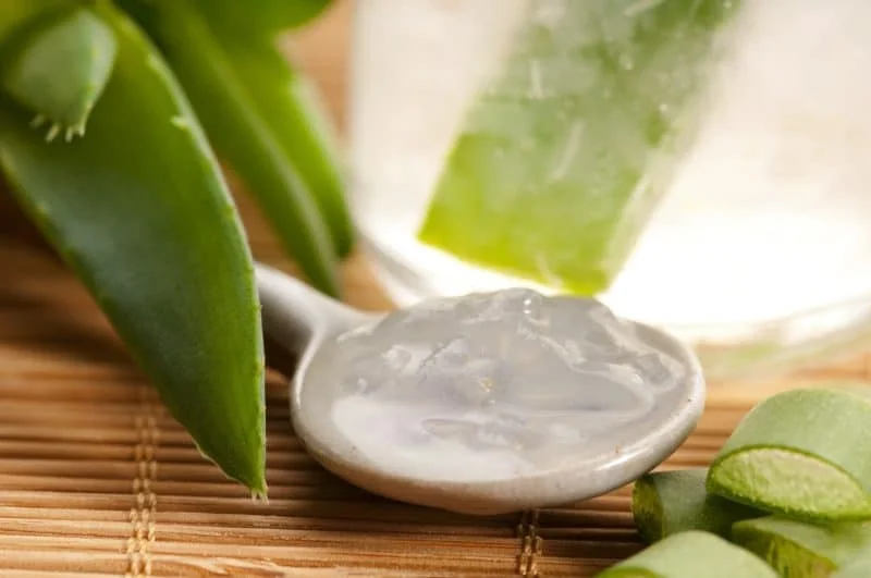 beneficios del aloe vera para el estómago