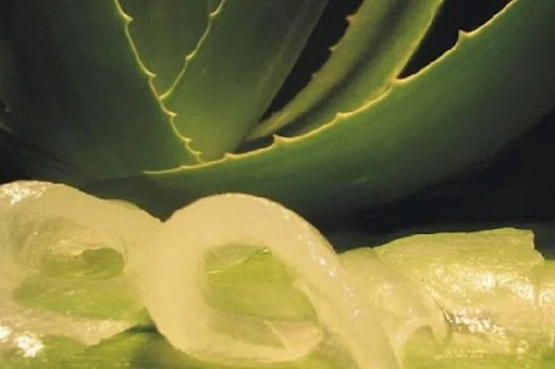 energizante de aloe vera