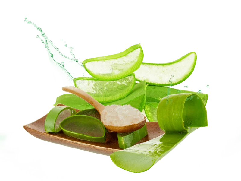 propiedades del aloe vera para la digestión