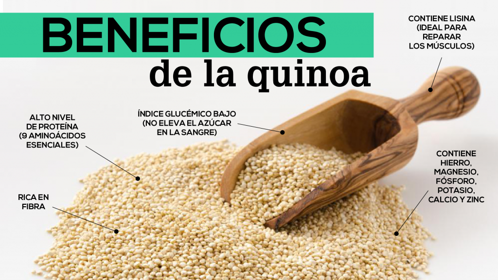 Quinoa: Para Que Sirve, Propiedades, Beneficios, Contraindicaciones Y Más