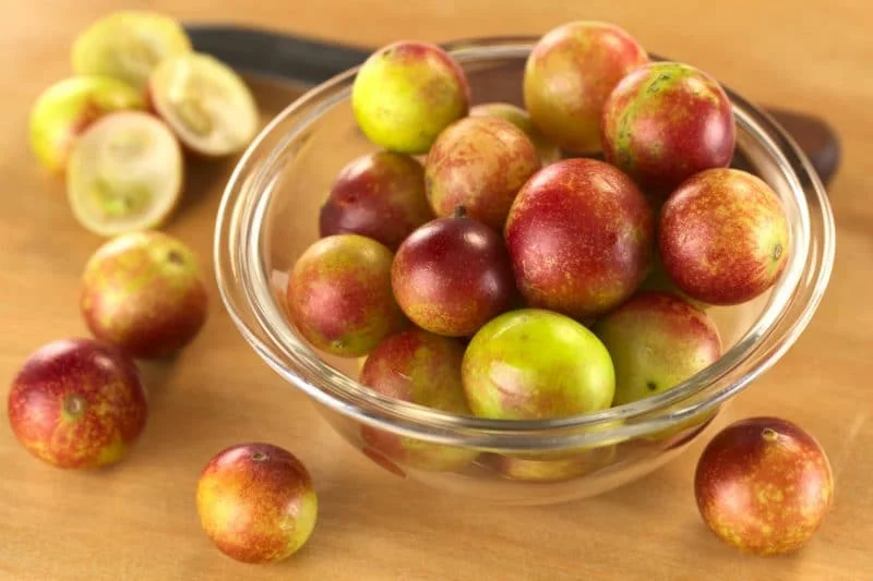 beneficios del camu camu para trastornos mentales
