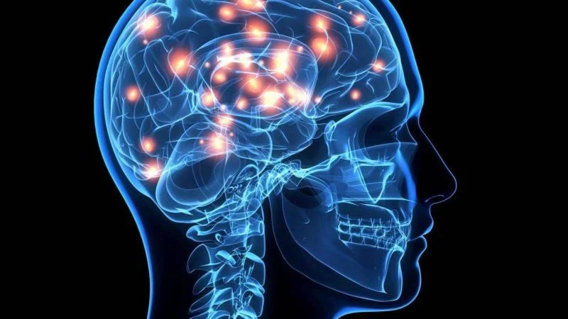 camu camu para el cerebro