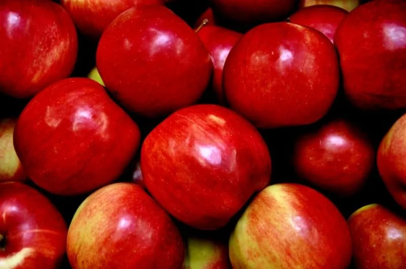 camu camu propiedades antioxidantes