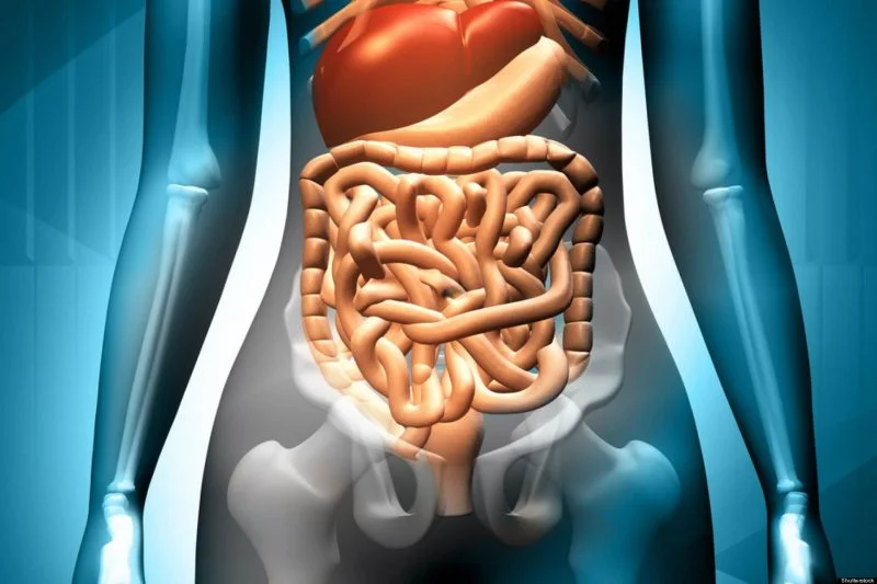 como preparar la chia para la gastritis
