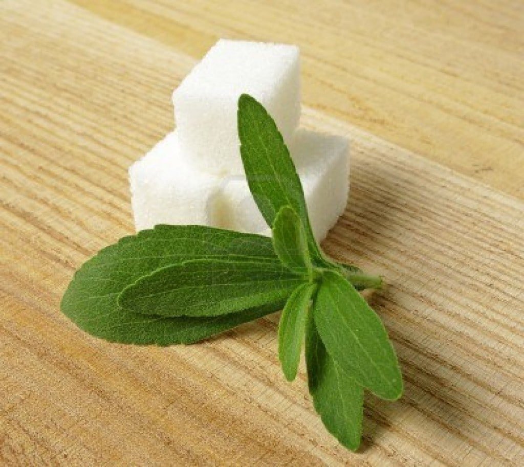 Stevia Para que sirve, propiedades, beneficios, contraindicaciones y más