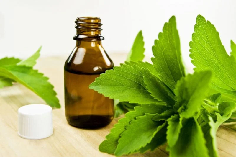 infusión de stevia
