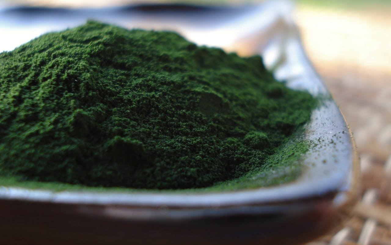 Chlorella Para que sirve, propiedades, beneficios, contraindicaciones