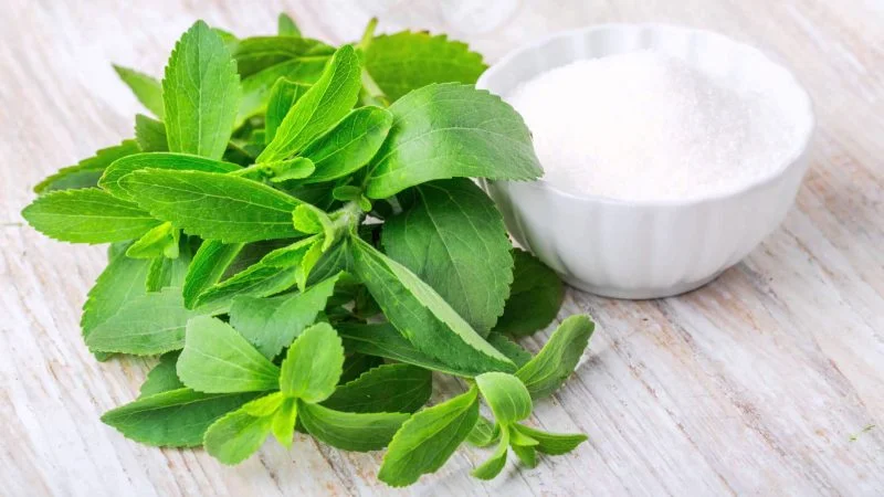 peligros de la stevia