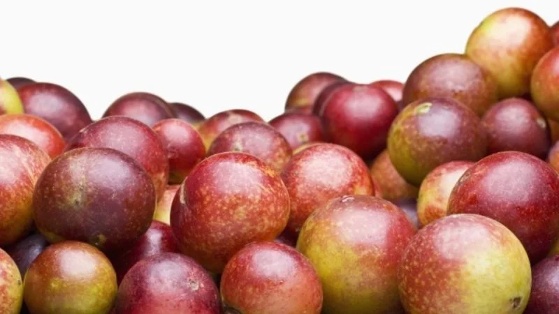 propiedad medicinal del camu camu