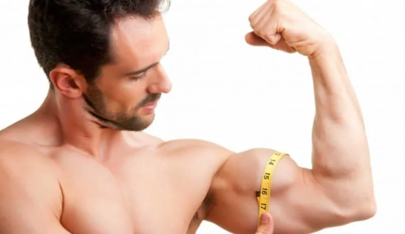 semillas de chía para aumentar masa muscular