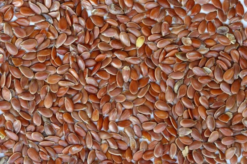 semillas de lino marrón